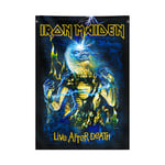 Iron Maiden Live After Death Flag multicolour