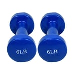 LILIS Weight Bench Adjustable 1 Pair Neoprene Dumbells, Cast Iron All-Purpose Coded Dumbbells Weight Set, 4LB, 6LB, 8LB, 10LB, Vinyl Coated Hand for Fitness Home Gym Exercise (Color : 6LB*2)