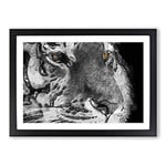 Big Box Art Eyes of The Tiger in Abstract Framed Wall Art Picture Print Ready to Hang, Black A2 (62 x 45 cm)