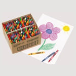 Crayola Assorted Wax Crayons Class Pack With 72 Colours Kids Pencil Set 288 PACK