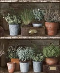 Facade Flower Pots Wallpaper Grandeco Paste The Wall Vinyl Rustic Wood Effect