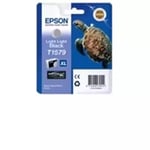 Epson Turtle Light Black for R3000