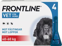 Frontline vet. 100 mg/ml