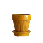 Bergs Potter - Simona Pot W Saucer 14 cm Yellow Amber - Yellow Amber - Krukor