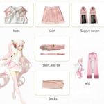 2024 Rosa Miku Cosplaydräkt Prestanda Kostym Cos-dräkt Hatsune Miku Regelbunden C-dräkt Peruk Cosplay Flickor Vår Sakura Körsbär Miku-Perfet Clothes with wig S