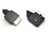Intel Oculink Cable Kit Axxcbl700cvcr - Intern Sas-Kabel - 4I Minilink Sas (Sff-8611) (Hane) Rak Till 4I Minilink Sas (Sff-8611) (Hane) Högervinklad - 70 Cm