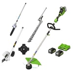 Greenworks 2x24V 40cm trimmer, pole-saw, pole-hedge, edger, with 2x4Ah battery and dual-slot charger