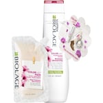 Biolage Collection ColorLast Presentset Shampoo 250 ml + Deep Treatment 100 1 Stk.