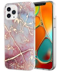 BSLVWG Compatibe with iPhone 12 Pro Max Case,Ultra-Thin Marble Stone Pattern Hybrid Hard Back Soft TPU Raised Edge Slim Protective Case Shock Proof Cover for iPhone 12 Pro Max 6.7 inches(Colorful)