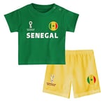 FIFA Unisex Kinder Official World Cup 2022 Tee & Short Set, Toddlers, Senegal, Team Colours, Age 3, Green, Medium