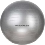 Endurance Treningsball 55 CM - Sølv - str. 55
