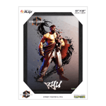 - Pixel Frames PLAX Street Fighter 6: Ryu Bilde