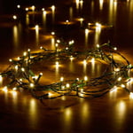 Smart Garden 50 LED String Lights (Warm White) Battery Operated