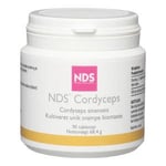 NDS Cordyceps - 90 tabletter