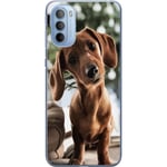 Motorola Moto G31 Transparent Mobilskal Ung Hund