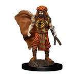 D&D Icons of the Realms Premium Figures: Human Druid Male (US IMPORT)