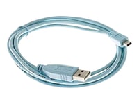 Cisco - Câble USB - USB (M) pour mini USB type B (M) - 1.8 m - pour Cisco 1921, 1921 4-pair, 1921 ADSL2+, 1941; Catalyst 2960, 2960G, 2960S