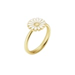 Daisy Vit Ring ⌀ 11 mm Guld