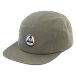 Ion 5 Panel Keps