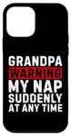 iPhone 12 mini Grandpa Warning My Nap Suddenly At Any Time Family Sarcastic Case