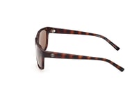 Timberland Sunglasses TB9296  52H Havana brown Man