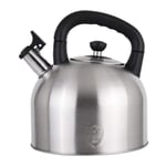 Stainless Steel Whistling Tea Kettle Tea, Tea Kettles 4L Large Capacity, Tea s for Stove Top (Silver Tone)