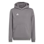 adidas Sweatshirt à capuche en Y H57515 ENT22 unisexe pour enfants, Team Grey Four 910A, 140 (9 à 10 ans)