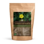 Grateful Nature Tribulus Terrestris - Pulver Økologisk 250g