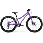 Merida Matts J.24+ Lila 2024