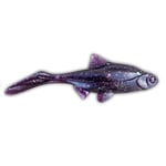 OLA Lures Hooligan Roach Tiny June Bug 6,5cm 2gr 12-pack