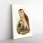 Big Box Art Grass-Owls by Elizabeth Gould Canvas Wall Art Print Ready to Hang Picture, 76 x 50 cm (30 x 20 Inch), White, Gold, Cream, Blue