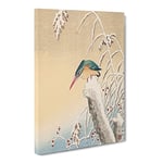 Kingfisher In The Snow By Ohara Koson Asian Japanese Canvas Wall Art Print Ready to Hang, Framed Picture for Living Room Bedroom Home Office Décor, 30x20 Inch (76x50 cm)