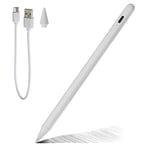 Maplin Stylus Pen for Apple iPad (2018 onwards) with Magnetic Casing & Nibs, High Precision Writing/Drawing/Sketching Pen, Compatible with iPad Pro 11/12.9(3/4/5th)/Air 3-4-5/Mini 5-6/iPad 6/7/8/9/10