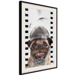 Plakat - Pug In Hat - 30 x 45 cm - Sort ramme med passepartout