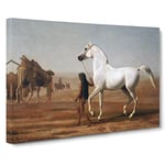 Jacques Laurent Agasse The Wellesley Grey Arabian Classic Painting Canvas Wall Art Print Ready to Hang, Framed Picture for Living Room Bedroom Home Office Décor, 30x20 Inch (76x50 cm)