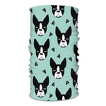 KCOUU Boston Terrier Mint Variety Head Scarf Warmer Face Mask Super Soft And Stretchy Neck Gaiter Windproof Sports Mask balaclava