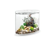 biOrb Loop 30 LED Aquarium, 30 litres, blanc - Kit complet d'aquariums avec système de filtration breveté, cuve en acrylique
