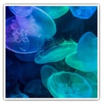 2 x Square Stickers 7.5 cm - Beautiful Jellyfish Blue Sea Creatures Cool Gift #8