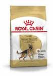 Royal Canin German Shepherd Adult Dry Dog Food - 11kg