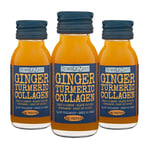 BumbleZest Revive + Restore Ginger Shot - PACK OF 10 – Ginger, Turmeric & Black Pepper – Boost Your Immune System – With 5g Marine Collagen (Protein) – Low in Calories – 60ml