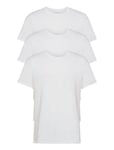 S/S Crew Neck 3Pk Tops T-shirts Short-sleeved White Calvin Klein