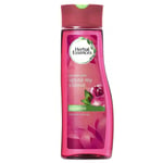 Herbal Essences Shampoo Ignite My Colour 400ml (( TWELVE PACKS ))