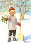 Julkort med kuvert - Julrosor (Fraktfritt)