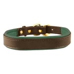 Perri's Padded Leather Dog Collar, Havana/Hunter Green, Small/3/4" x 16" - fitting dogs with 10-13" necks