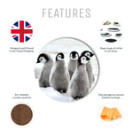 1 x Emperor Penguin Chicks - Round Coaster Kitchen Student Kids Gift #13280