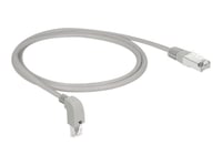 Delock - Patch-Kabel - Rj-45 (Hane) Vinklad Nedåt Till Rj-45 (Hane) Rak - 1 M - Sf/Utp - Cat 5E - Startad, Halogenfri - Grå