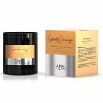 Apis Spiced Orange Natural Soy Candle Orange with Cinnamon Fragrance 220g