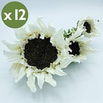 Wellhome Lot de 12 Bouquets de Tournesol 3 Fleurs en Couleur, Blanc 56 cm