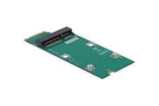 Delock Adapter M.2 Key B+M to Mini PCIe slot (PCIe / USB) - gränssnittsadapter - M.2 Card - PCIe Mini Card