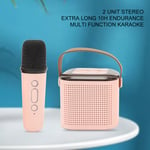 Mini Karaoke Machine Home Mini Karaoke Machine Multifunctional Pink For Home Use